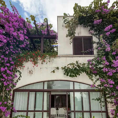 Maller Apartment