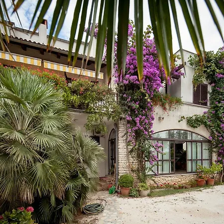 Maller * ロヴィニ