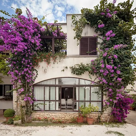 Apartment Maller