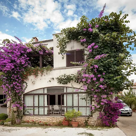 Maller * ロヴィニ