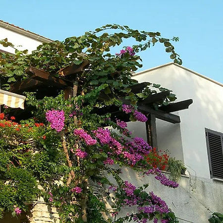 Maller * ロヴィニ